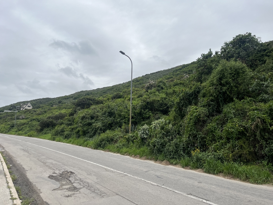0 Bedroom Property for Sale in Amsterdamhoek Eastern Cape